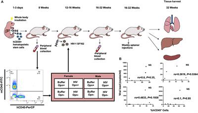 Complex Interactions Between Human Immunodeficiency Virus Type-1, Sex, and Osteopontin Influence Viral Replication and Leukocyte Proportions in Tissues